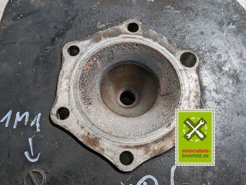 PXL_20240511_115949823